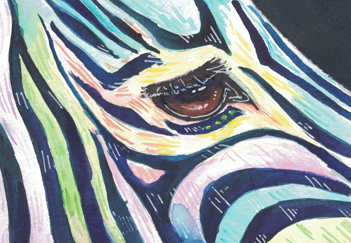 Rainbow Zebra 7x9"