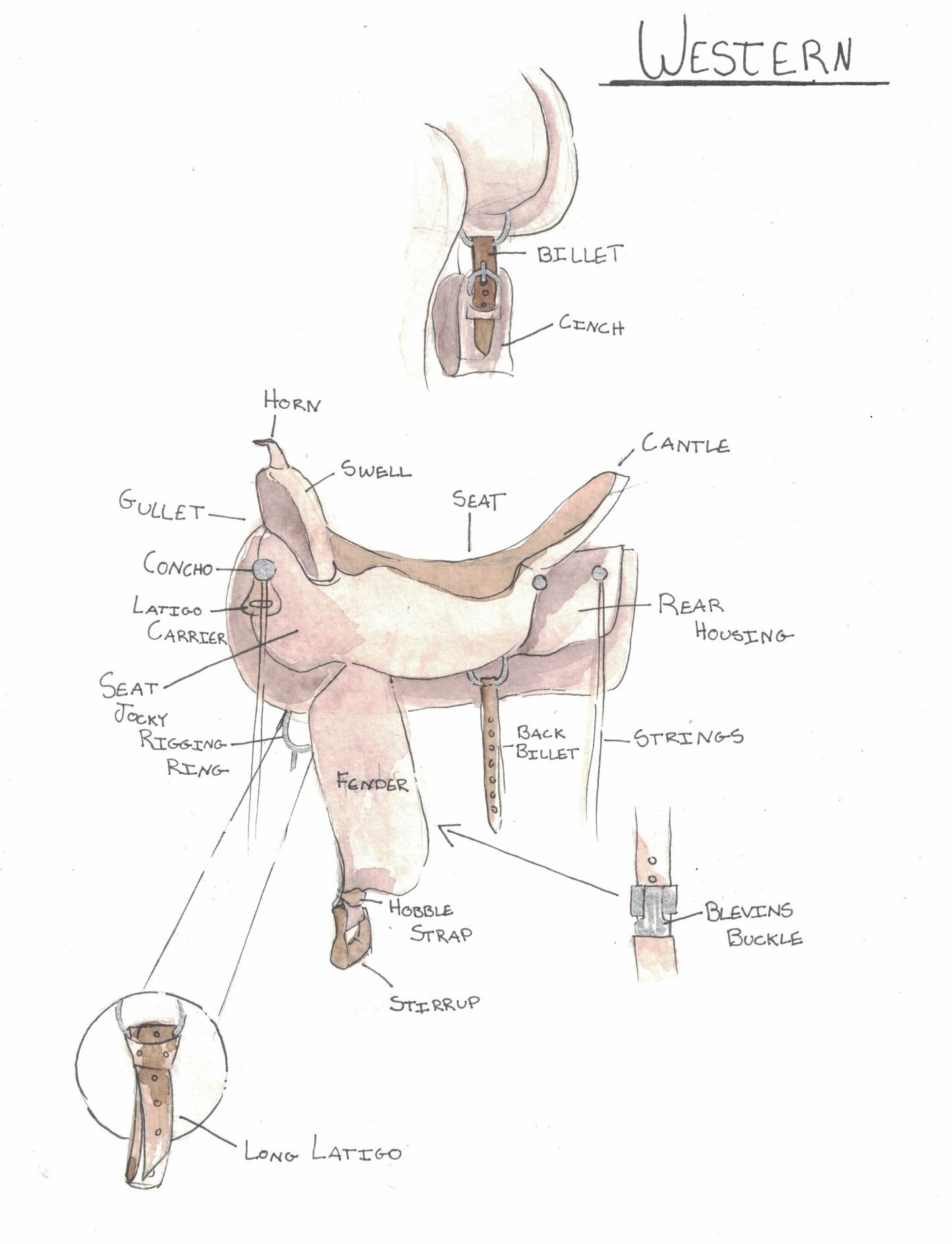 Western Saddle (Parts)