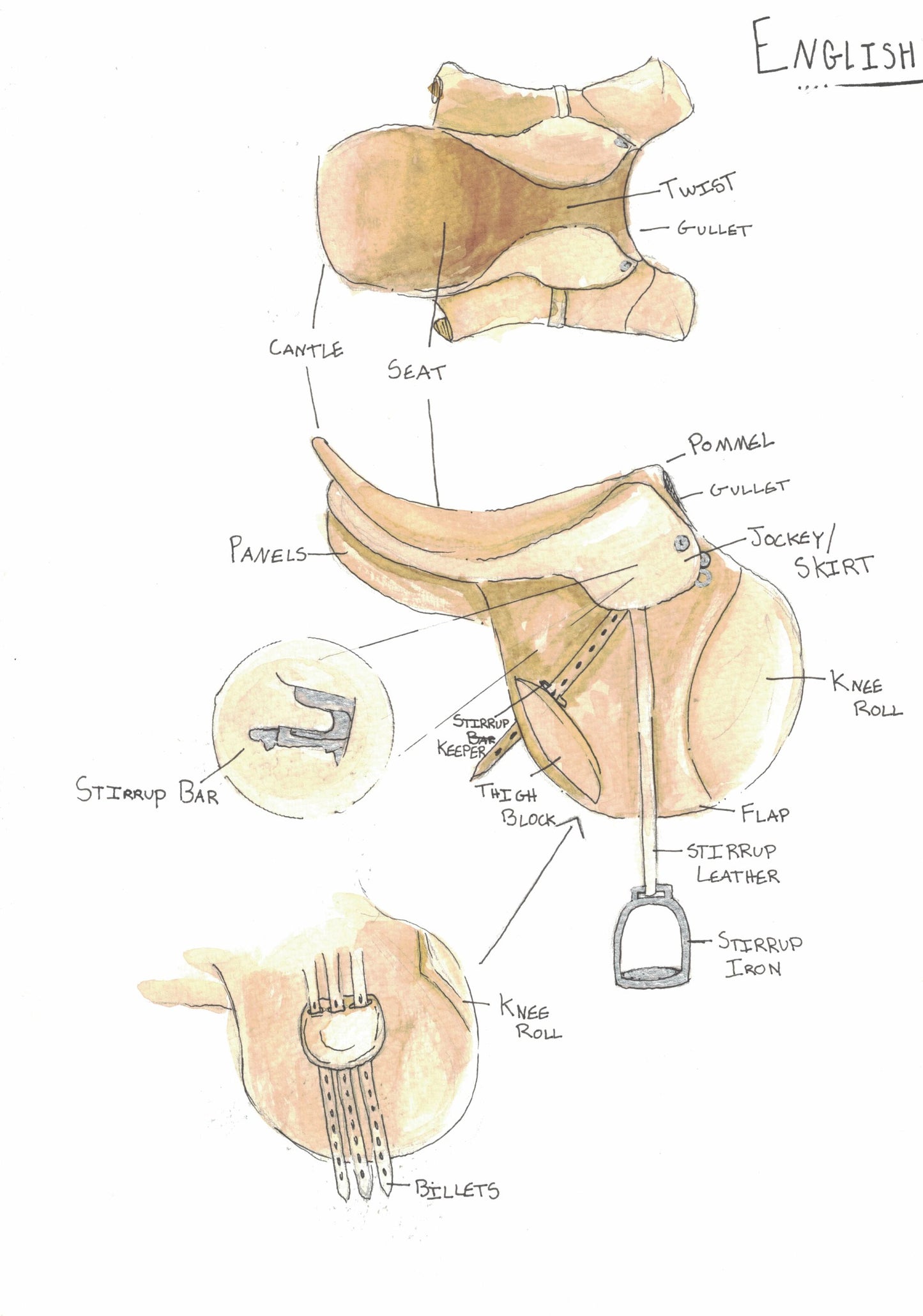 English Saddle (parts) Poster 13x16"