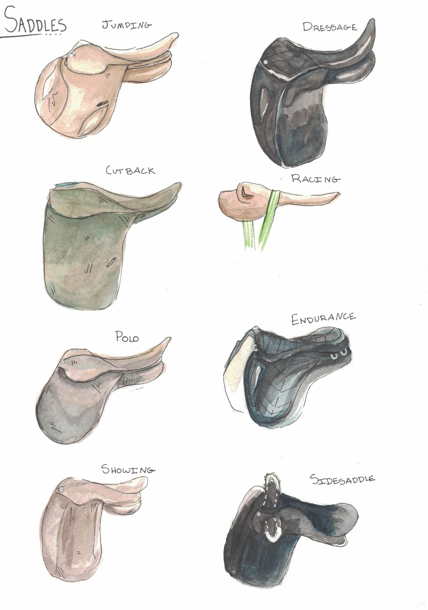 English Saddle (Types) Poster 12x16"