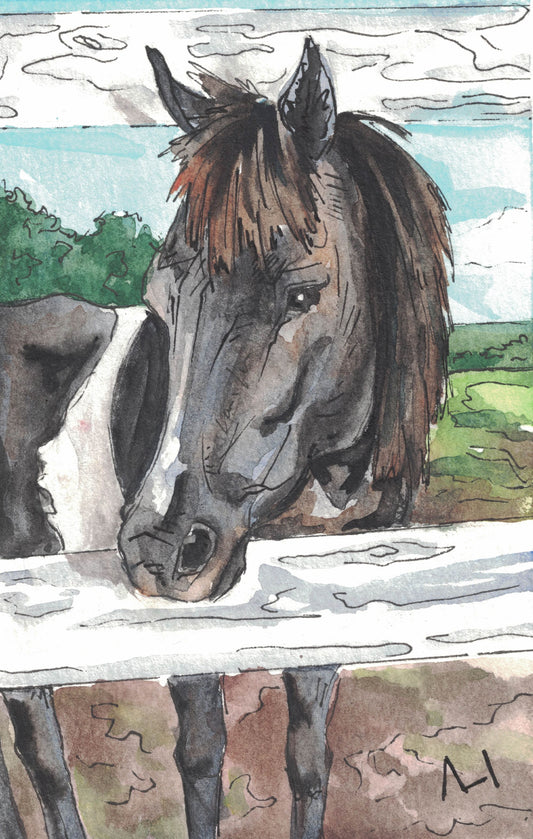 Gypsy -- Print