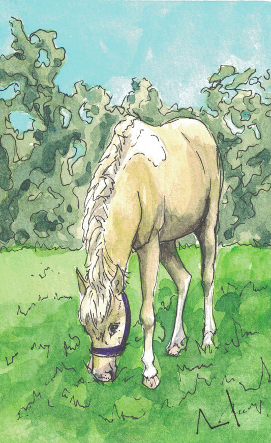 Lil' Rayne -- Print